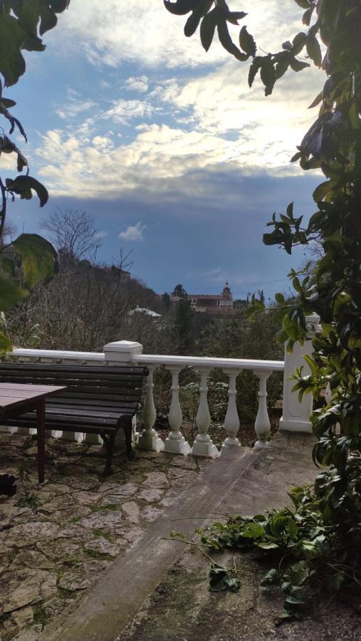 Guest House Chalet Agave Gagra Exteriér fotografie
